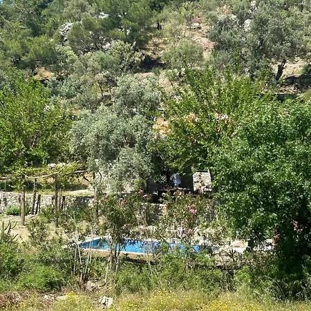 Togo Iztuzu Stonehouse-4